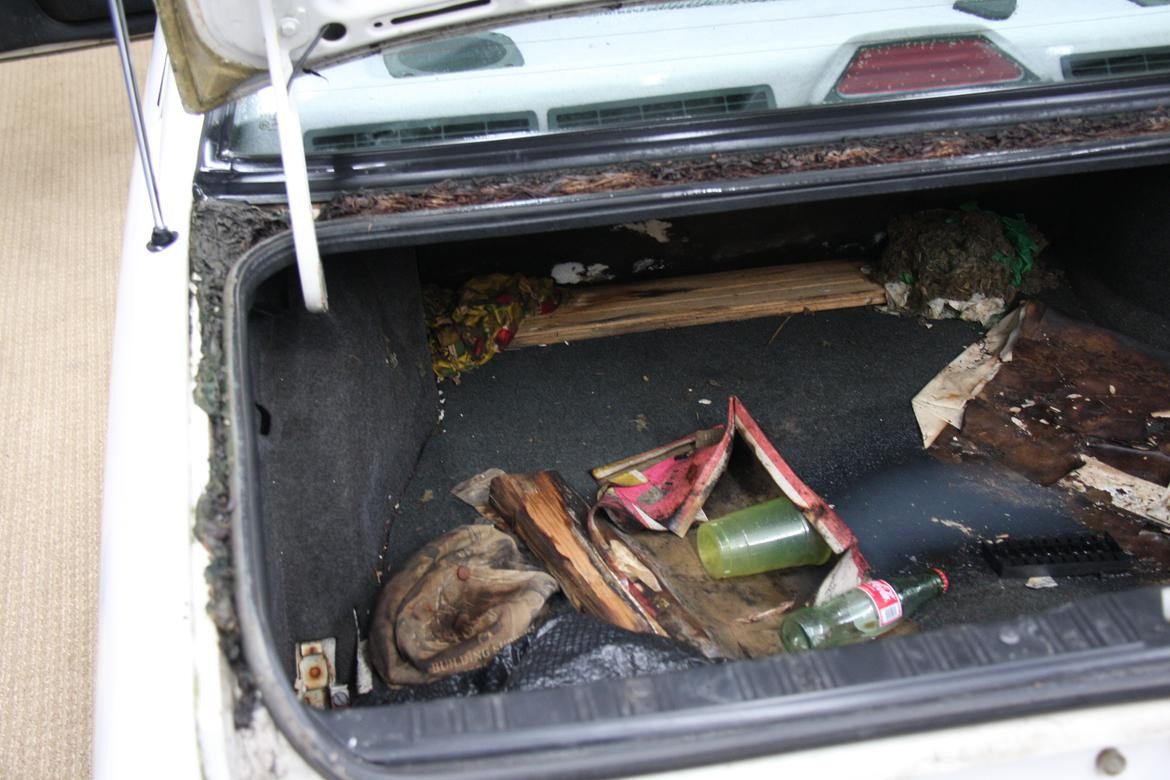 Moldy car trunk before cleaning in a BMW 318is project car