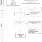 Flow chart illustrating the selection process of scoping review