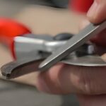 Close-up of pruning shears being cleaned with a cloth and oil to maintain sharpness and prevent rust