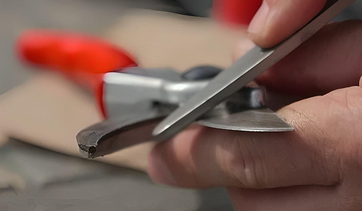 Close-up of pruning shears being cleaned with a cloth and oil to maintain sharpness and prevent rust