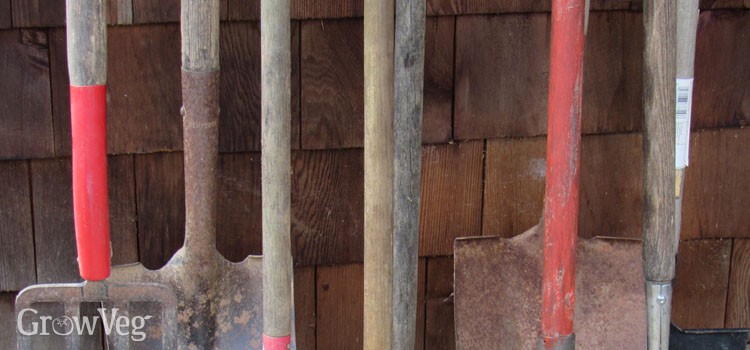 Wooden garden tools with long handles ready for cleaning and oiling to maintain their condition.