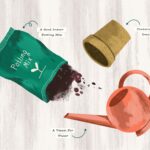 Minimalist plant care tools: a simple watering can and a potted plant.